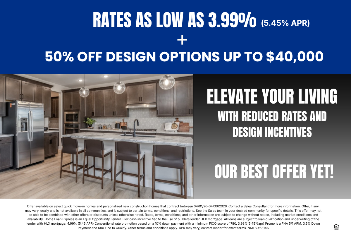 Website Promo Flyer (1)-1