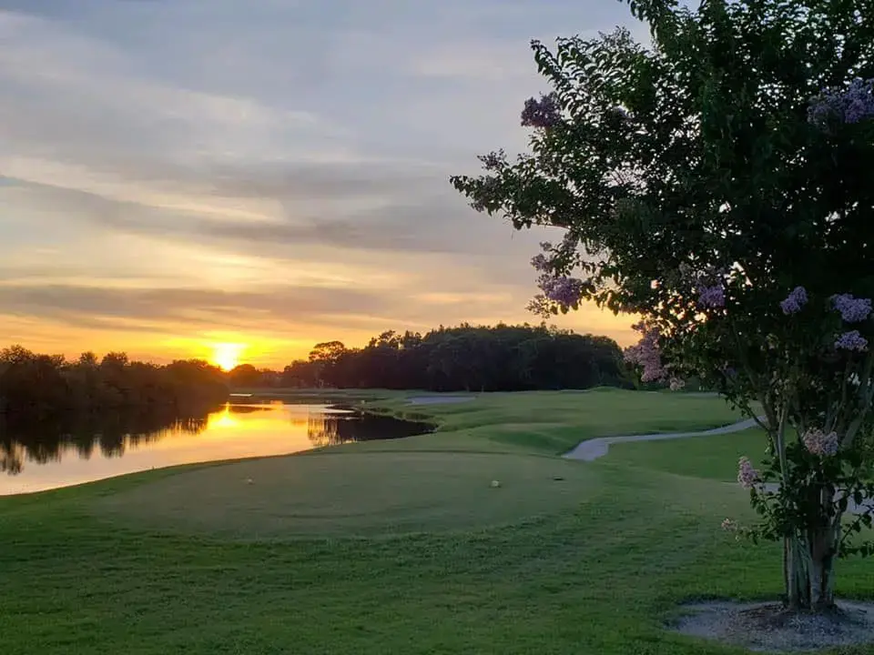 fairway golf fairway golf